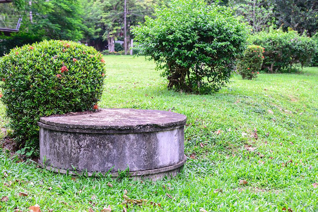 Read more about the article Landscaping Tips to Protect Your Septic System and Drain Field