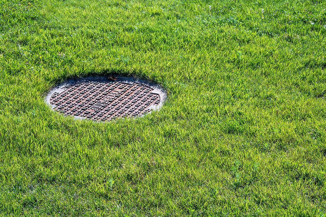 Read more about the article Understanding Drain Field Problems: Causes and Solutions